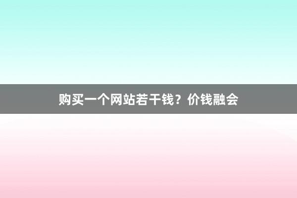 购买一个网站若干钱？价钱融会